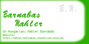 barnabas mahler business card