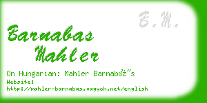 barnabas mahler business card